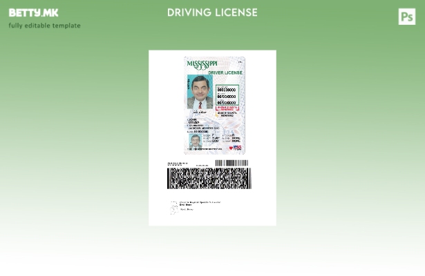 Возачка дозвола во модерен стил САД Мисисипи под шаблон